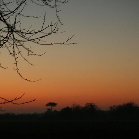 Gite Le Coucher De Soleil Plessé Exterior photo