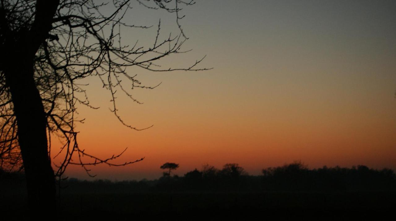 Gite Le Coucher De Soleil Plessé Exterior photo